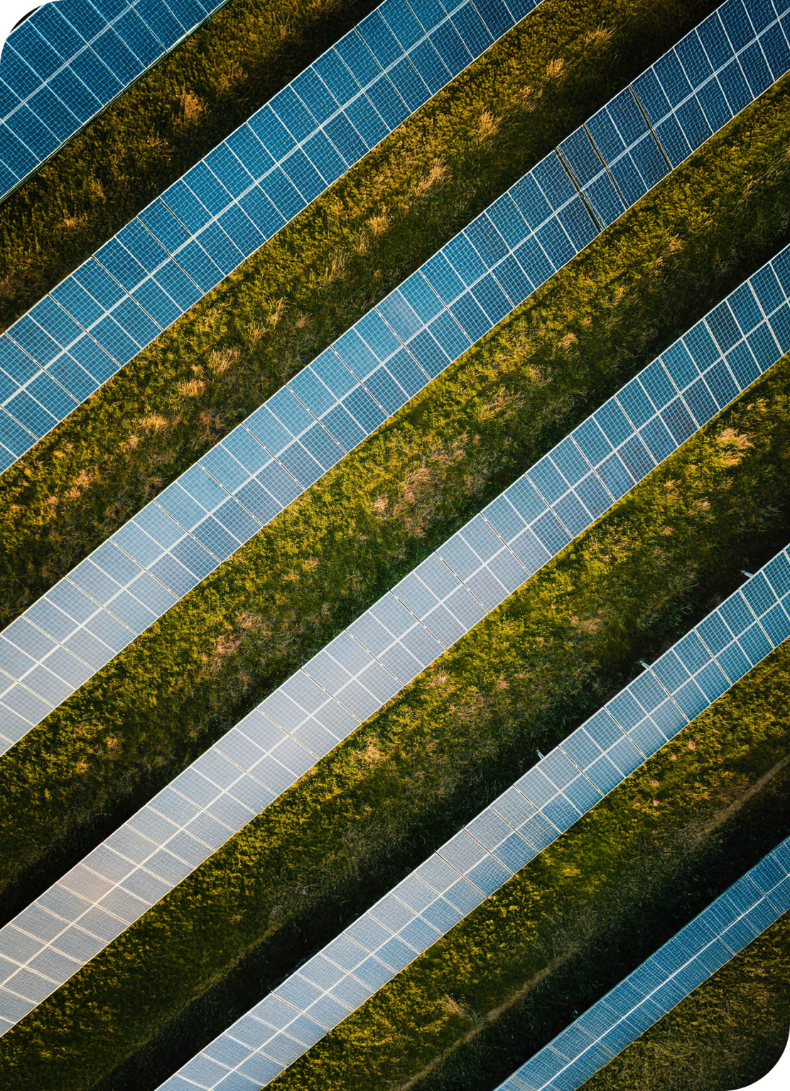 Luftaufnahme eines Photovoltaik-Parks