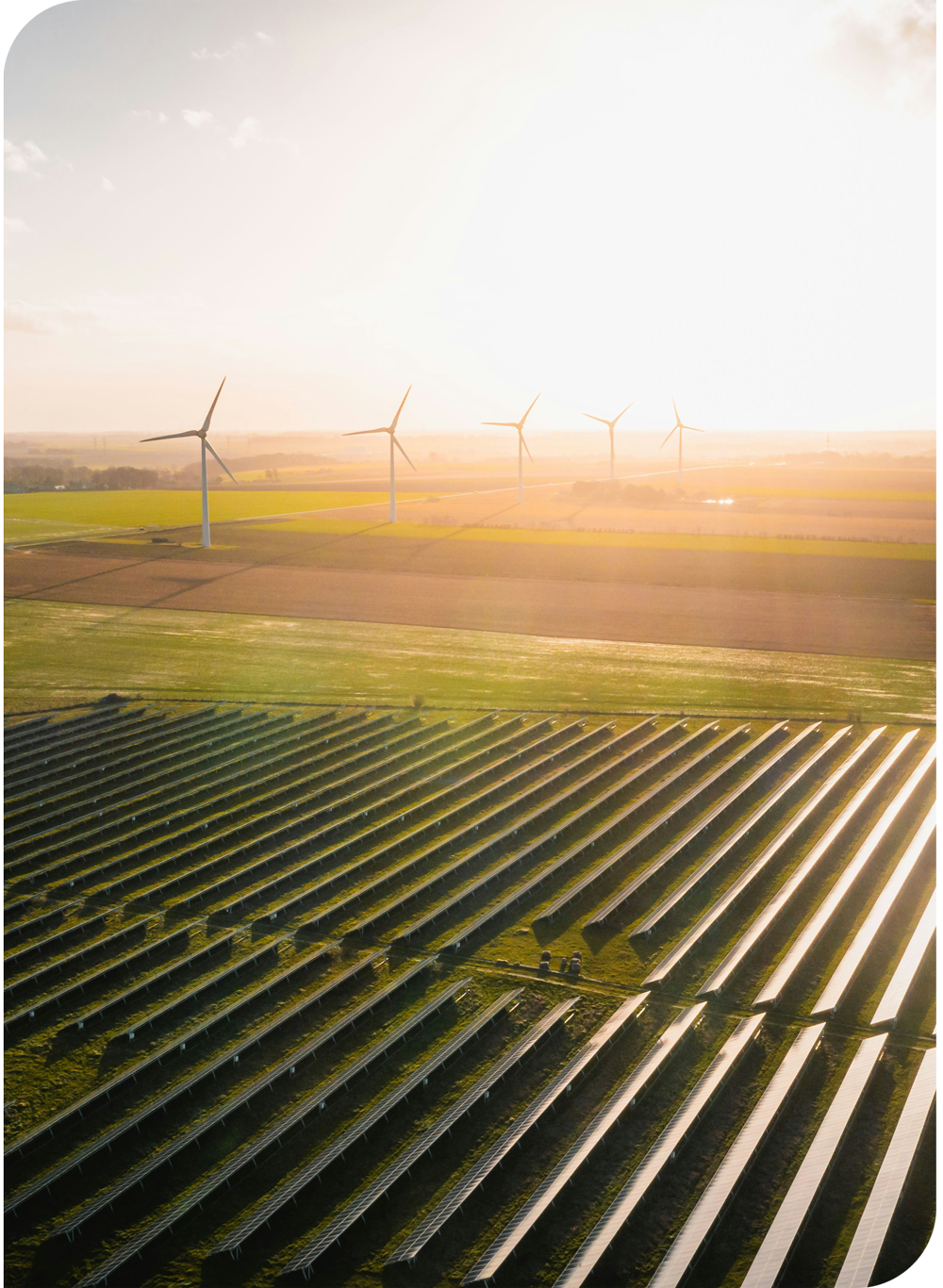 Luftaufnahme eines Photovoltaik-Parks bei Sonnenuntergang im Hintergrund Windräder.